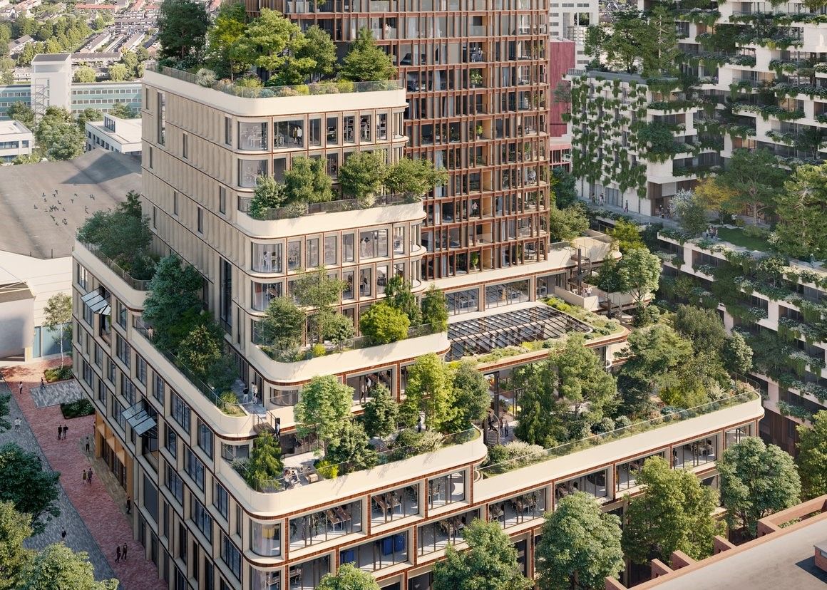 Wonderwoods in Utrecht