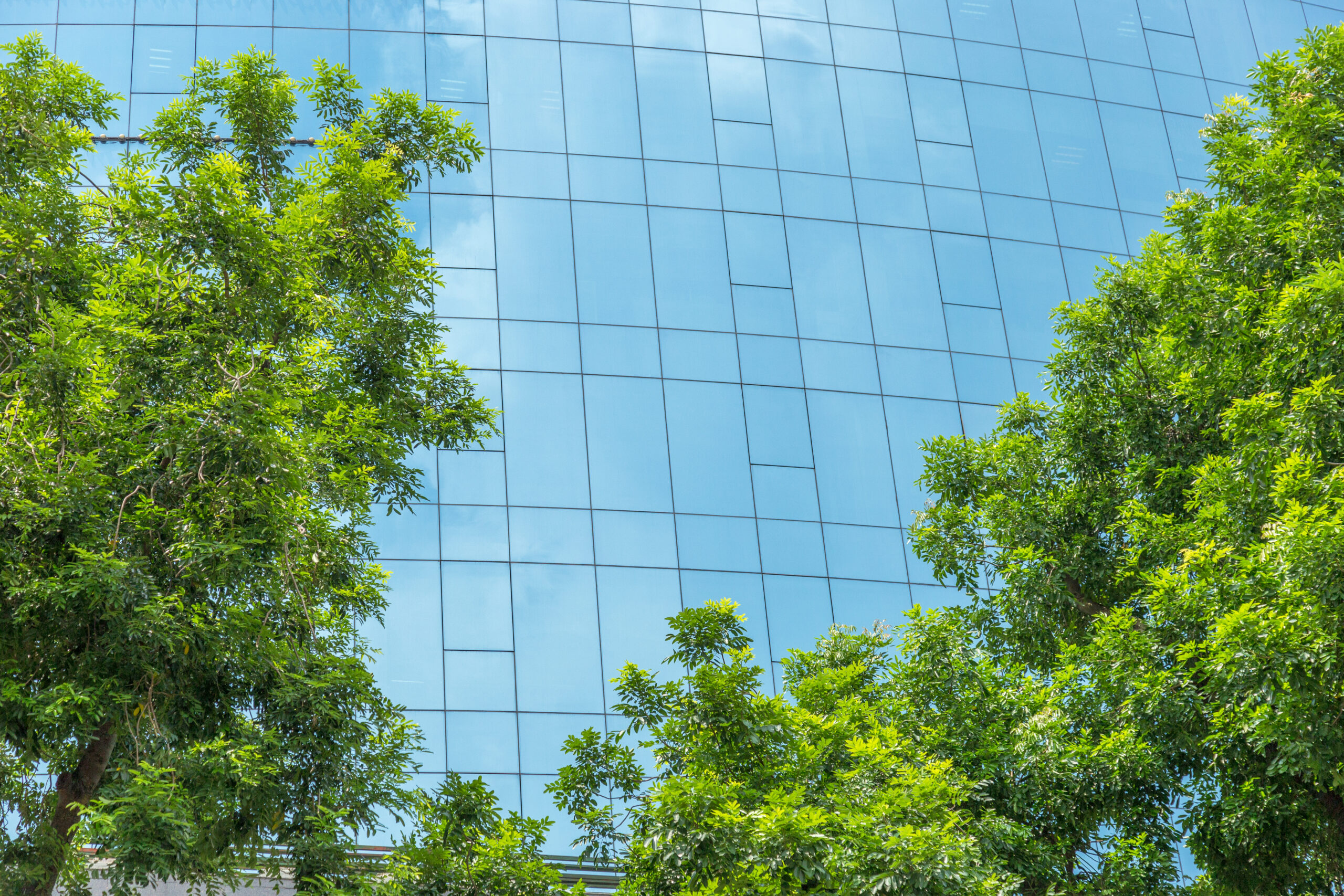 Groot glazen gebouw omringd met groene natuur